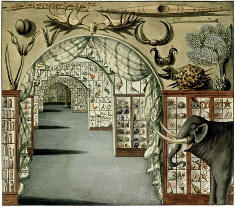 Sarah Stone, Sir Ashton Lever’s private museum, Leicester Square, London, 1785, watercolor by Sarah Stone
