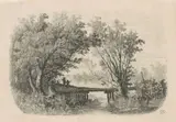 Carl Christian Brenner, Willows