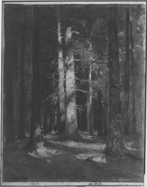 August Splitgerber, Untitled
