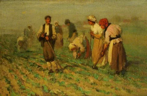 Thomas Austen Brown, Turnip Singling