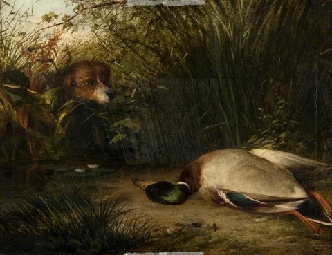 Arthur James Stark, A Pointer and a Dead Wild Duck