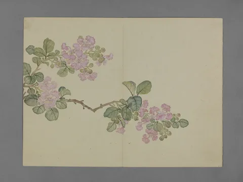 Pu Jiang, Untitled