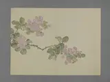 Pu Jiang, Untitled