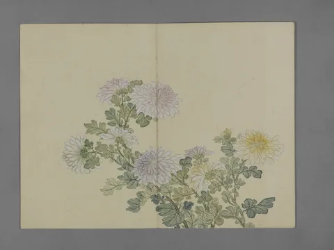 Pu Jiang, Untitled