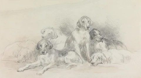 John Frederick Tayler, Six Foxhounds Resting
