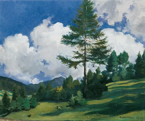 Richard Harlfinger, Untitled