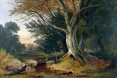 John Berney Ladbrooke, Beech Tree by a Rocky Stream