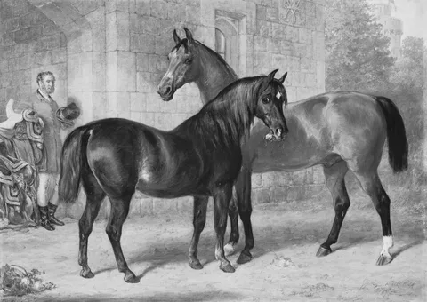 Gourlay Steell, Nimrod and Alma