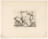 Johann Georg Hertel, Vogels in landschappen