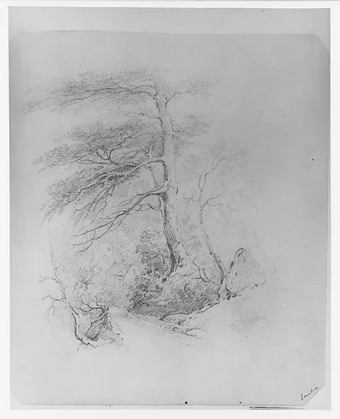 James Smillie, Landscape (from McGuire Scrapbook)
