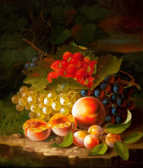 George Forster, Still Life #2
