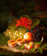 George Forster, Still Life #2