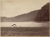 John Moran, Tropical Scenery, The Terminus of the Proposed Canal, Limon Bay