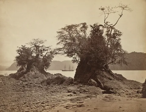 John Moran, Islands in Limón Bay