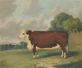 Richard Whitford, A Prize Bull in a Landscape