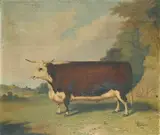 Richard Whitford, A Prize Bull in a Landscape