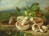 John Wainwright, Still Life with Mushrooms