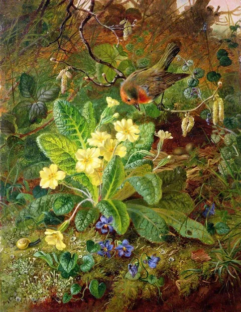 John Wainwright, Primrose and Robin