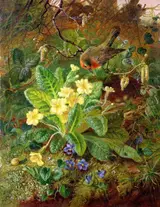 John Wainwright, Primrose and Robin