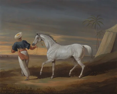 David Dalby, Signal, a Grey Arab, with a Groom in the Desert