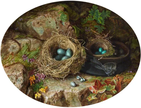 Charles Russell, Birds Eggs and Nests