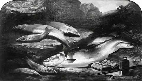 Henry Leonidas Rolfe, Salmon and Trout