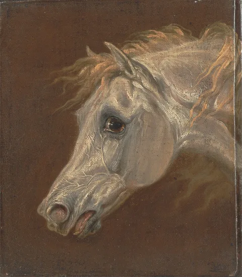 Martin Ward, Head of a Grey Arabian Horse