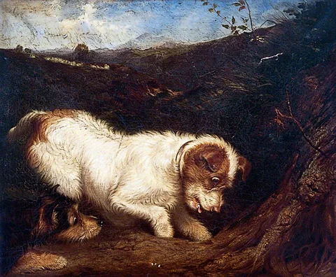 Martin Ward, Two Fox Terriers in a Landscape