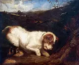 Martin Ward, Two Fox Terriers in a Landscape
