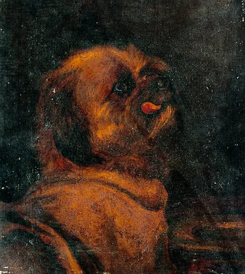 Martin Ward, Head of a Dog