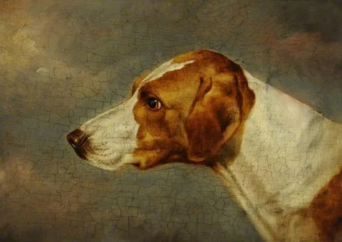 Martin Ward, Dog's Head