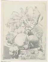 Jan Evert Morel, Vruchten, takken en een vlinder op een tafel