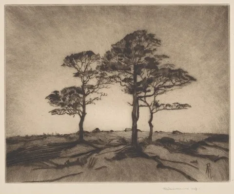 Peter Marcus, Sundown