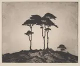 Peter Marcus, Dawn