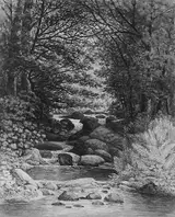 Henry Hitchings, A Forest Cascade at Hiram, Maine