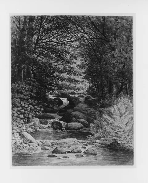 Henry Hitchings, A Forest Cascade at Hiram, Maine
