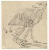 Ludolf de Jongh, Defecating Greyhound, Seen from the Side 
