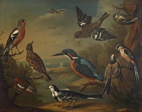 Charles Collins, British Birds (Pair of Chaffinches, Goldcrest; Woodlark; Kingfisher; Long Tailed Tits; Stonechat and a  Wagtail)