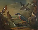 Charles Collins, British Birds (Pair of Chaffinches, Goldcrest; Woodlark; Kingfisher; Long Tailed Tits; Stonechat and a  Wagtail)