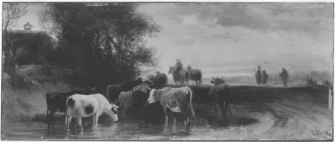 Prof. Friedrich Voltz, Untitled