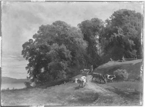 Prof. Friedrich Voltz, Untitled