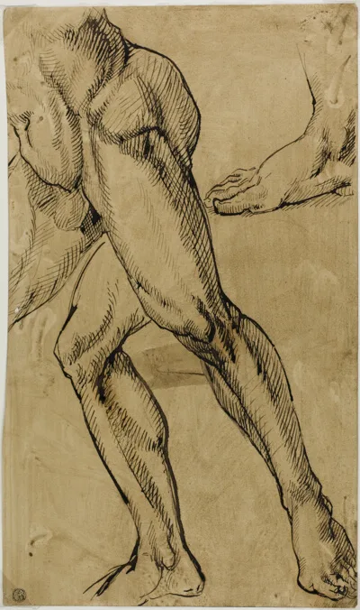 Michelangelo Buonarotti, Legs and Feet of Male Nude