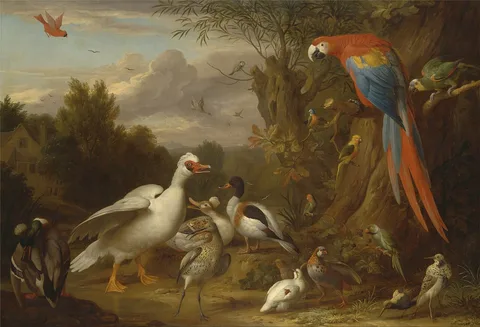 Jacob Bogdani, A Macaw, Ducks, Parrots and Other Birds in a Landscape