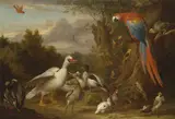 Jacob Bogdani, A Macaw, Ducks, Parrots and Other Birds in a Landscape