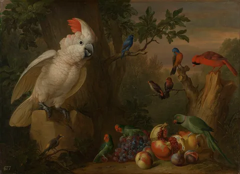 Jacob Bogdani, Birds and Fruit in a Landscape