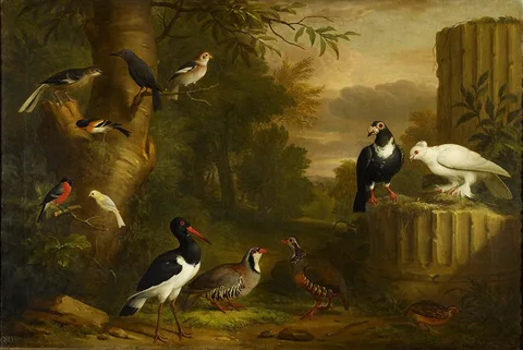 Jacob Bogdani, Birds in a Landscape