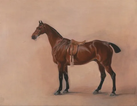 John E. Ferneley, Study of a Saddled Bay Hunter