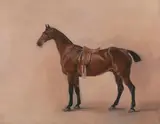 John E. Ferneley, Study of a Saddled Bay Hunter
