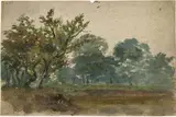 William Howis, Trees in a Park