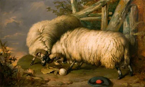 John Frederick Pasmore, Highland Rams Fighting